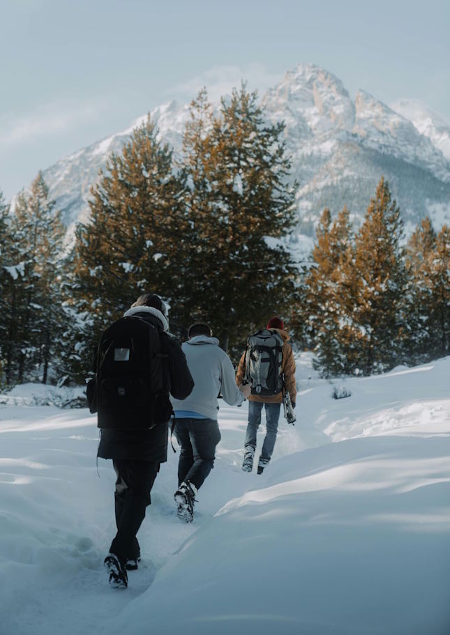 The Journey of a Finnish Start-up Company